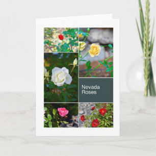 Carte Les roses du Nevada à Reno gare le collage de