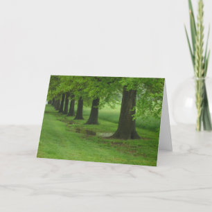 Carte Les sentinelles