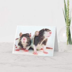 Carte Les vraies femmes possèdent des rats !