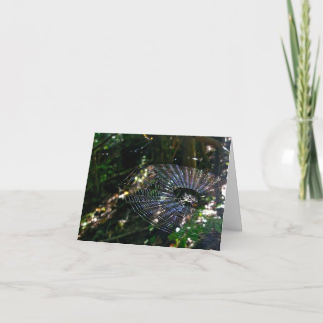 Carte Leugauge Spider Orb Web 2 Note Card (Devant)