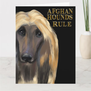 CARTE LÉVRIER AFGHAN