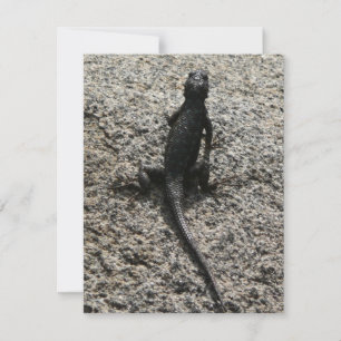 Carte Lézard noir
