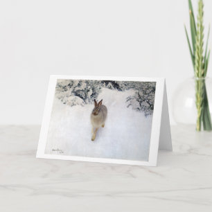 Carte Lièvre d'hiver (lapin), Bruno Liljefors
