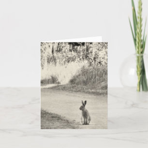 Carte Lièvres aujourd'hui