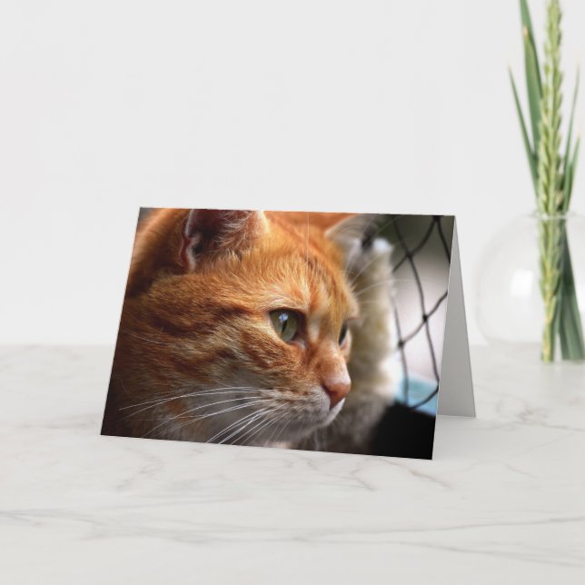 Carte Life Sucks Encouragement Je suis ici pour vous (Devant)