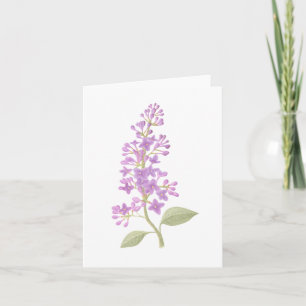 Carte Lilac