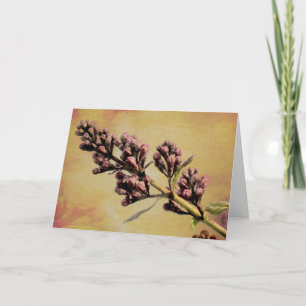 Carte Lilac