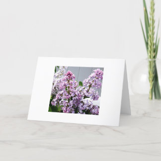Carte Lilacs