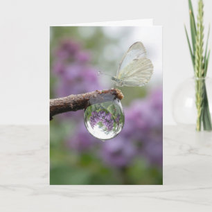 Carte Lilas d'anniversaire se reflétant dans une goutte