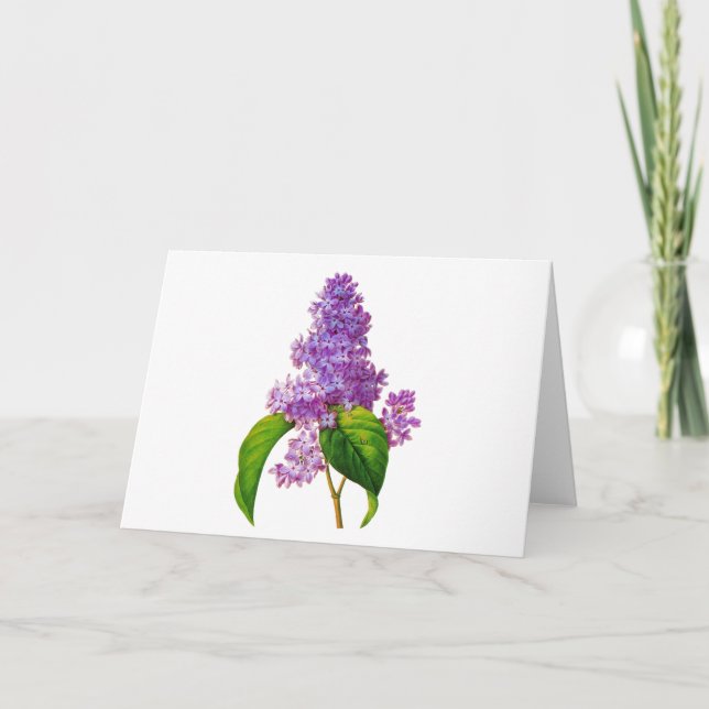 Carte Lilas de Redoute (Devant)