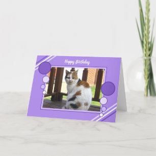 Carte Lilas se reposant de pourpre de photo de chat de