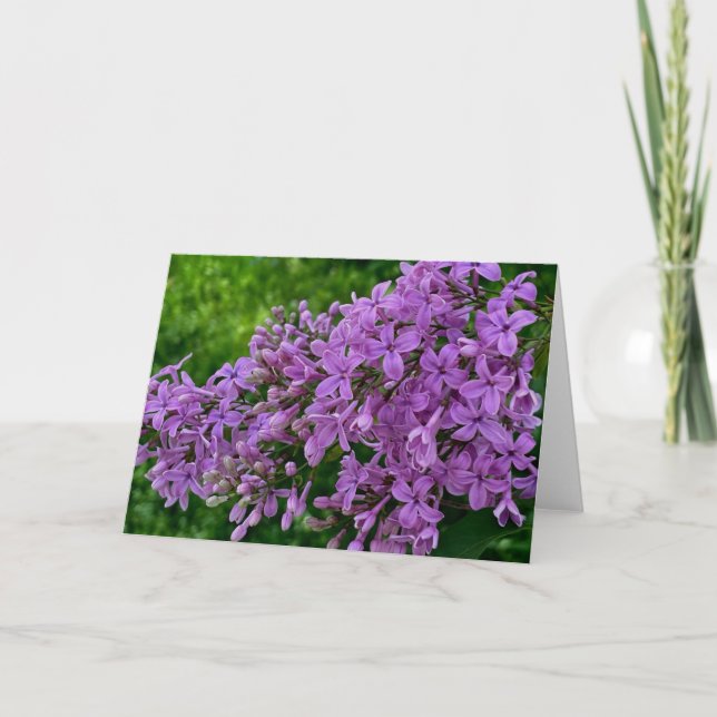 Carte Lilas violet romantique élégant violet photo flora (Devant)