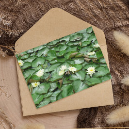 Carte Lillies d'eau