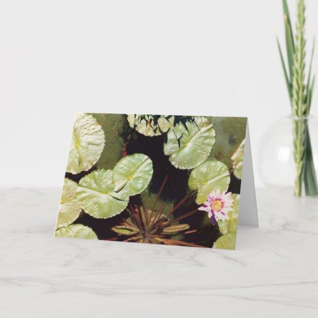 Carte Lillies d'eau 02 (Devant)