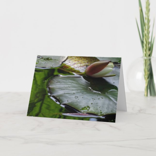 Carte Lily About to Bloom Greeting Card (Devant)