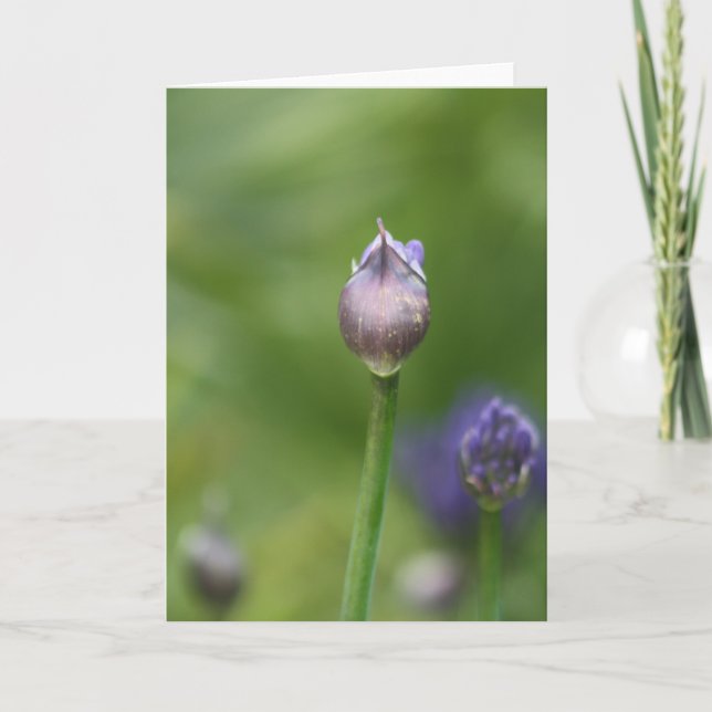 Carte Lily africaine (Devant)