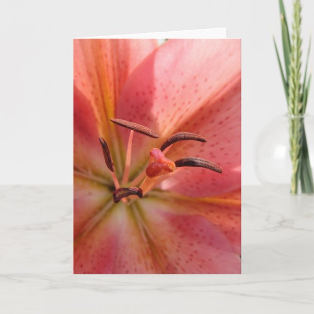 Carte Lily Macro (Devant)