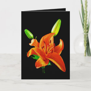 Carte Lily orange sur noir