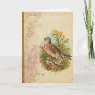 Carte Linnet rose