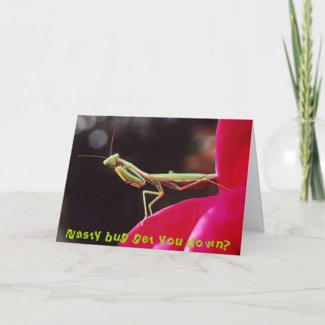 Carte L'insecte méchant vous descendent ? (Devant)