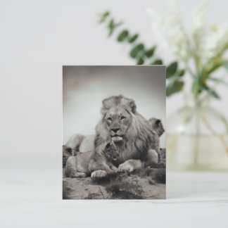 Carte Lion