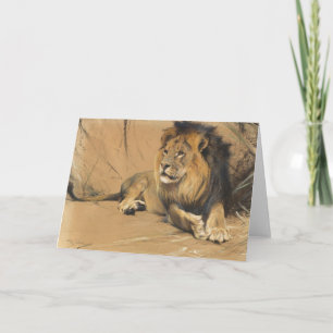 Carte Lion de repos   Wilhelm Kuhnert