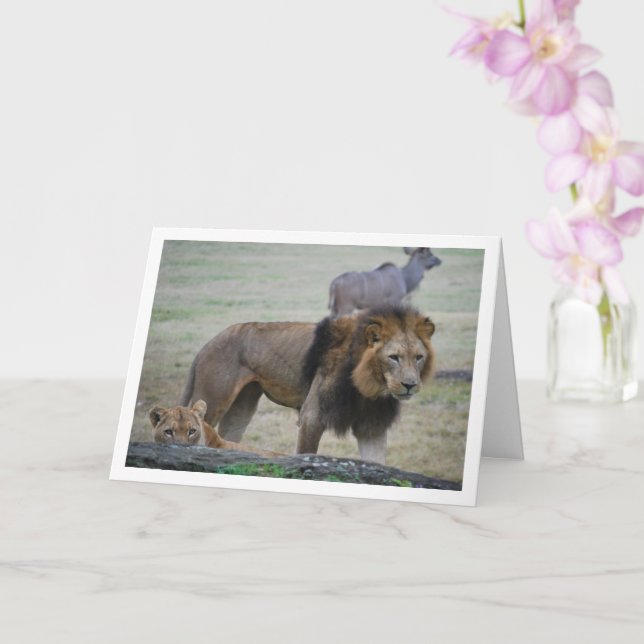 Carte Lion et Lionne (Orchidée)