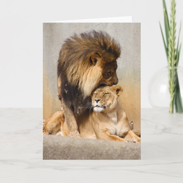 Carte Lion masculin et femelle dans l'amour (Devant)