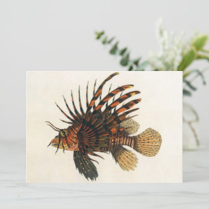 Carte Lionfish Poisson, Vieille Marine Vie Océanique Ani