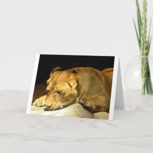 Carte Lionne