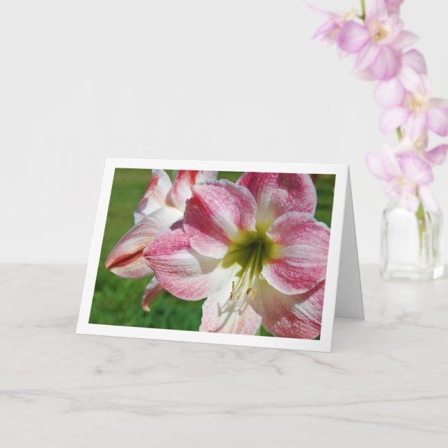 Carte Lis de Jersey Portrait (Orchidée)
