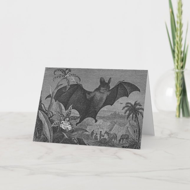 Carte Lithographie de chaume vampire (Devant)