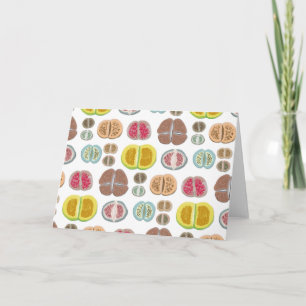 Carte Lithops - transparent