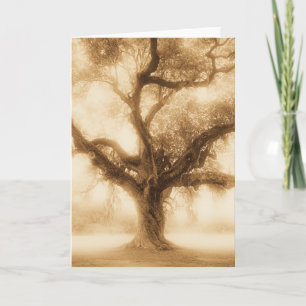 Carte Live Oak - MW1100
