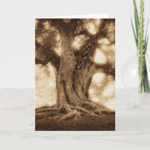 Carte Live Oak - MW1101