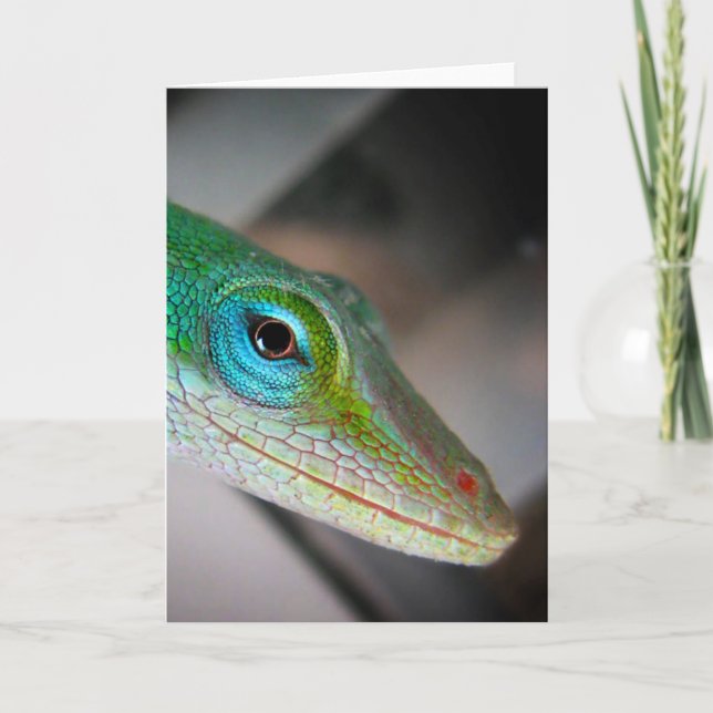 Carte Lizard d'Anole Verte (Devant)