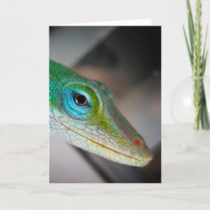 Carte Lizard d'Anole Verte