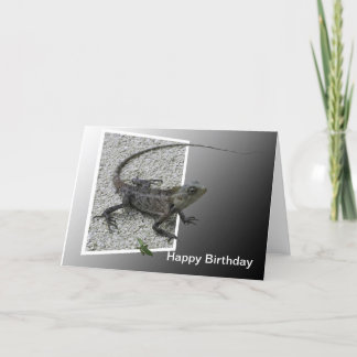 Carte Lizard Flicks Birthday Card