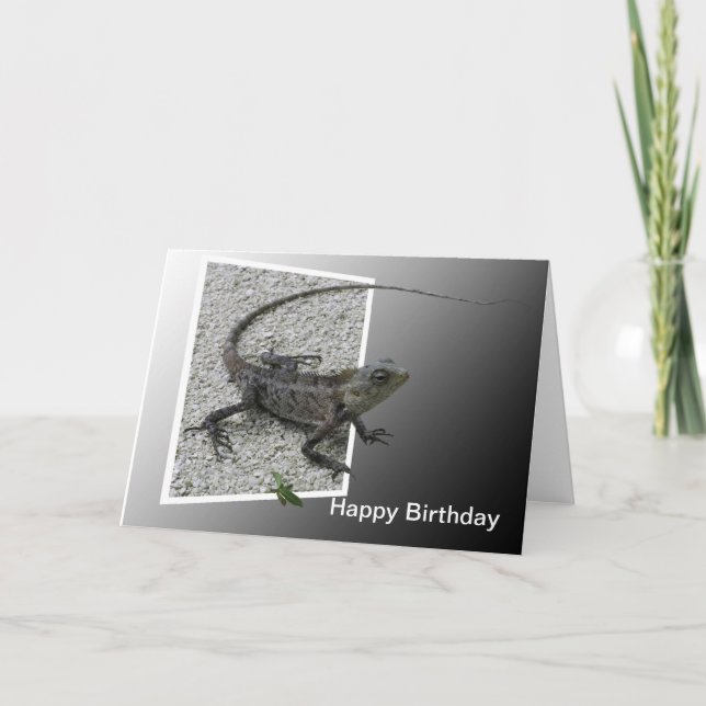 Carte Lizard Flicks Birthday Card (Devant)