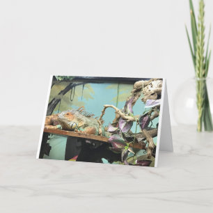 CARTE LIZARDS DIT *COMPTEZ-MOI EN* POUR CÉLÉBRER L'ANNIV