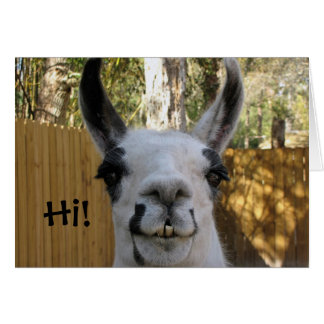 Carte Llama...