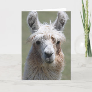 Carte Llama