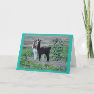 Carte Llama Baby Card