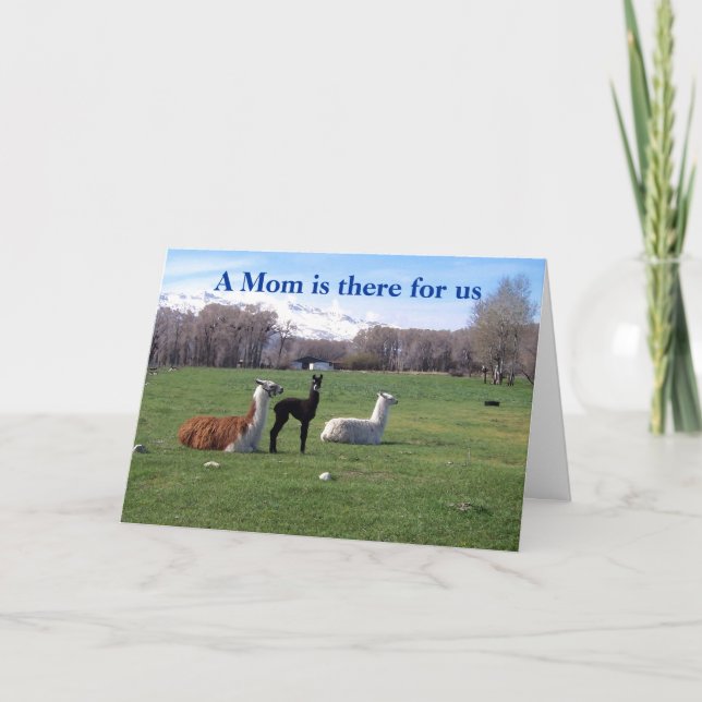 Carte Llama et jeunes (Devant)