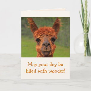Carte Llama Wonder Anniversaire