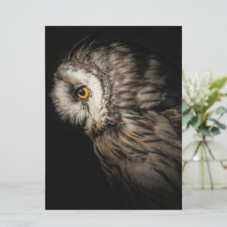 Carte L'oeil mystique du hibou | Cadeau pour les amateur