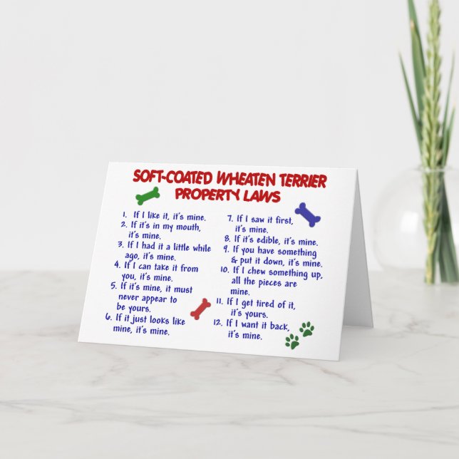 Carte Lois 2 de propriété de SOFT-COATED TERRIER BLOND (Devant)