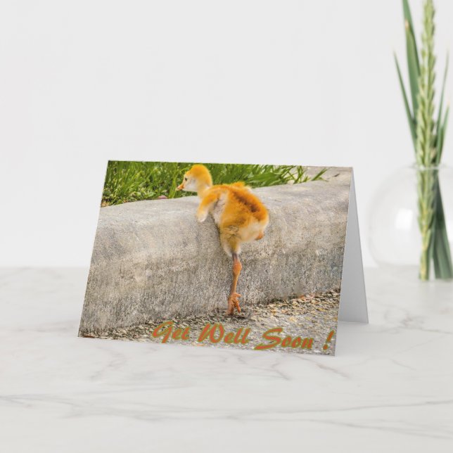 Carte L'oiseau de bébé de Sandhill OBTIENNENT BIEN (Devant)