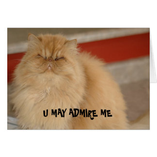 Carte LOL Cat