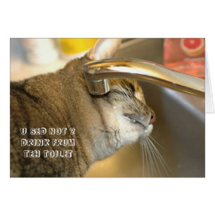 Carte LOL Cat